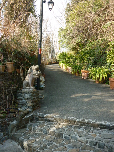 d0178017_11145313.jpg