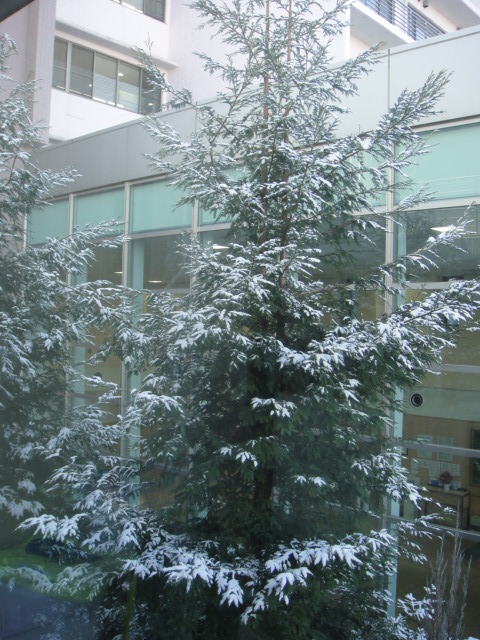 a0239418_13235676.jpg
