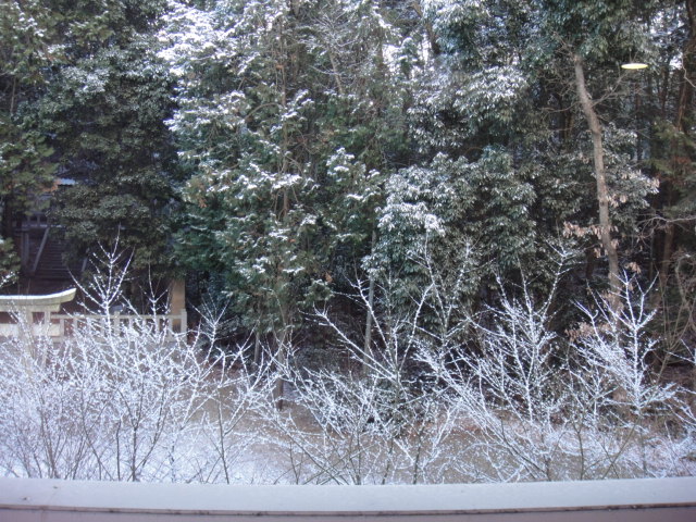 a0239418_13242146.jpg