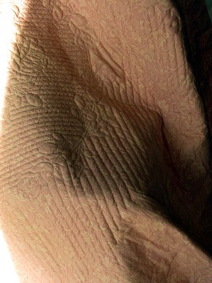 f0185619_23294873.jpg