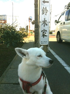 c0074025_1324318.jpg
