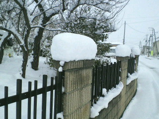 c0074025_1439513.jpg
