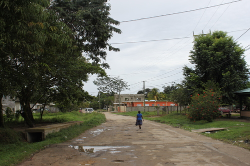 a0163227_1692879.jpg