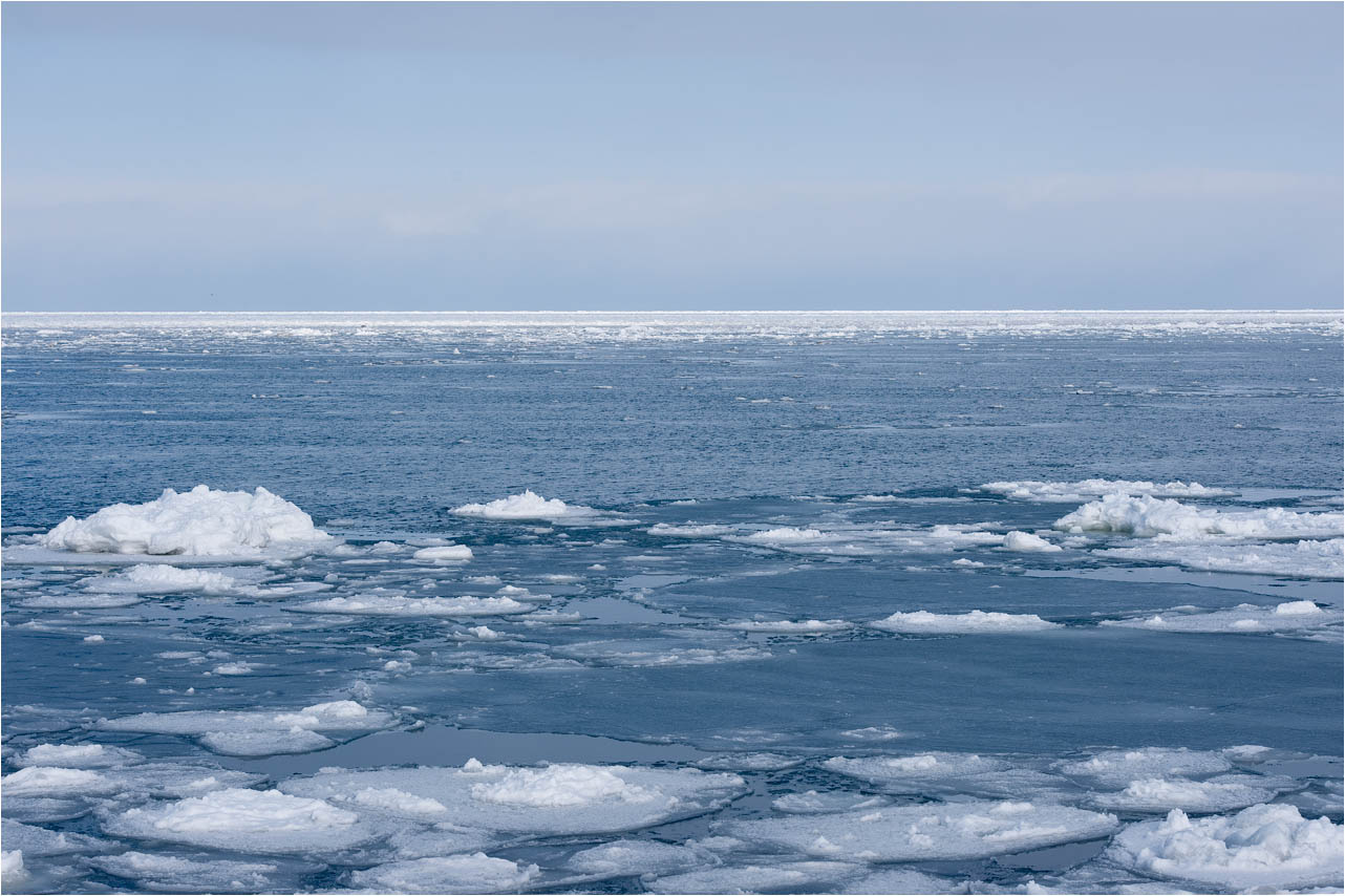 a0245331_2094962.jpg