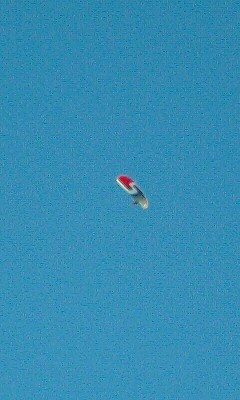 f0210439_149036.jpg