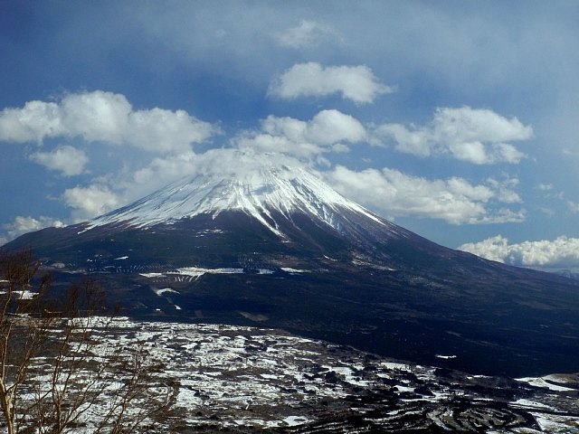 b0122448_21155488.jpg