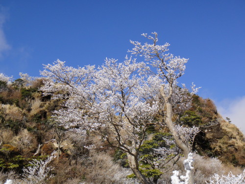 c0179351_21443628.jpg