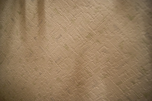 a0151356_2185988.jpg