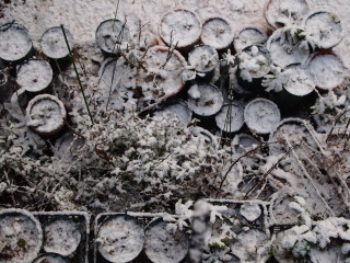 e0105760_8565334.jpg