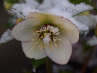 e0105760_85744100.jpg