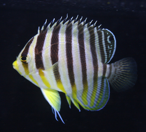 a0162261_21494226.jpg