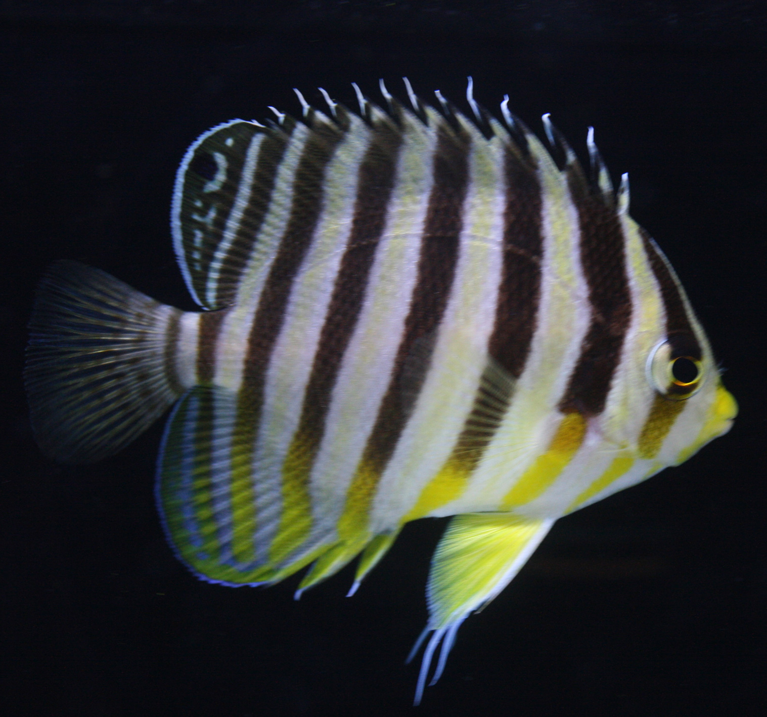 a0162261_2149503.jpg