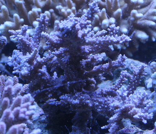 a0162261_21522523.jpg