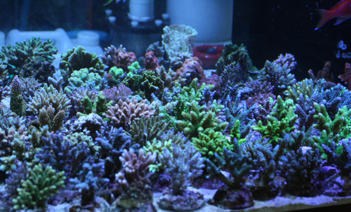 a0162261_21584661.jpg