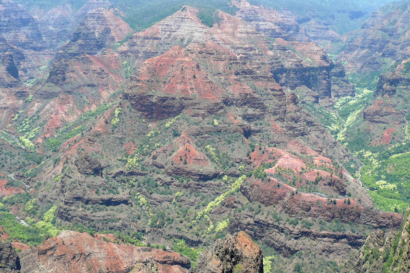 e0298866_21541929.jpg