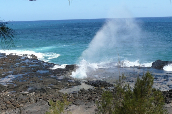 e0298866_2155431.jpg