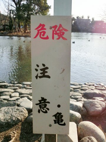 e0045768_22361990.jpg