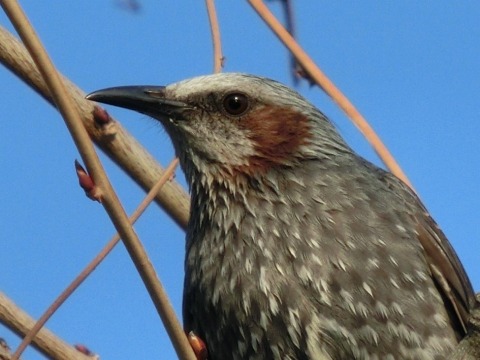 e0045768_22373832.jpg