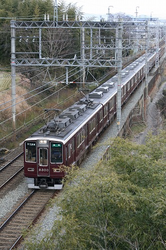 a0165483_1163011.jpg