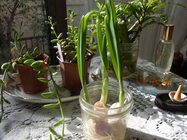 a0291885_111219.jpg