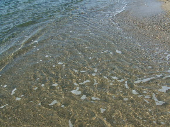 a0186689_115285.jpg