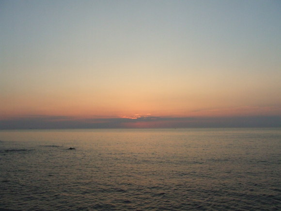 a0186689_1173528.jpg