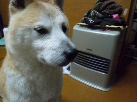 c0123890_1546081.jpg