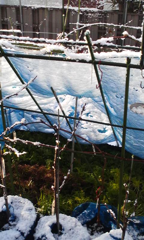 f0085291_22272072.jpg