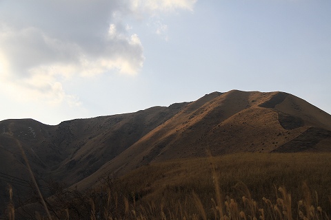 a0222494_1754891.jpg