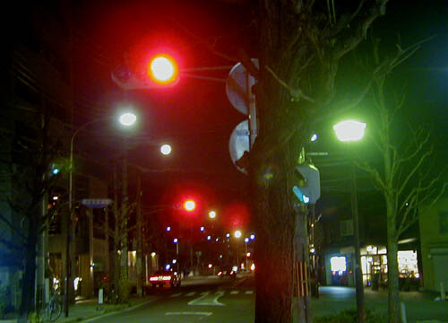 d0053294_1184376.jpg