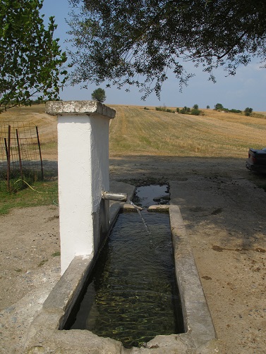 c0010496_21181510.jpg