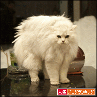 人気ブログランキングへ