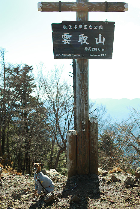 a0148606_095223.jpg