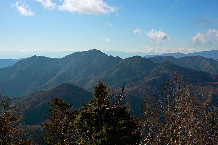a0148606_8221713.jpg