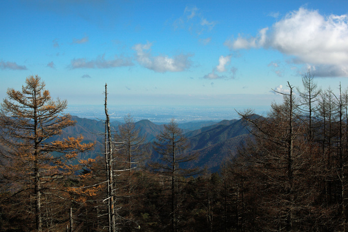 a0148606_8234251.jpg