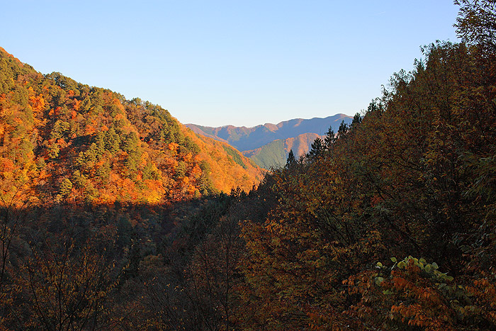 a0148606_8332577.jpg