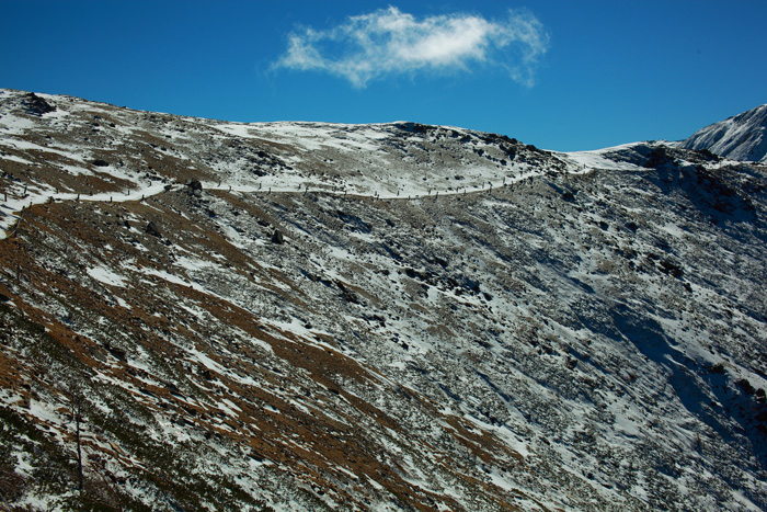 a0148606_882747.jpg