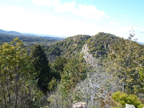 d0170615_1945231.jpg
