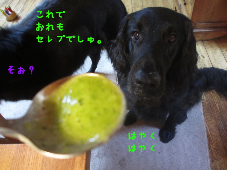 c0237824_11511461.jpg