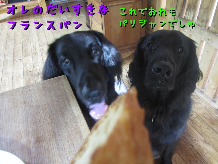 c0237824_11585259.jpg