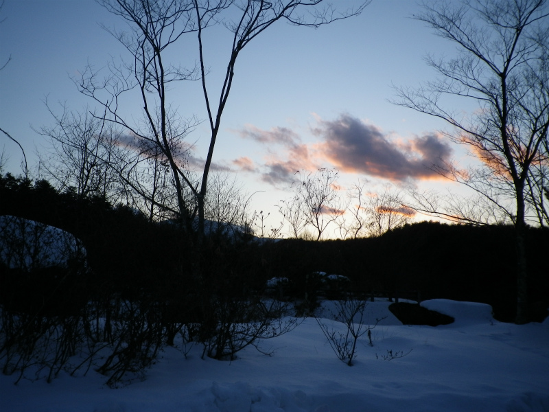 f0188324_207014.jpg