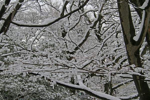 c0104227_8215352.jpg
