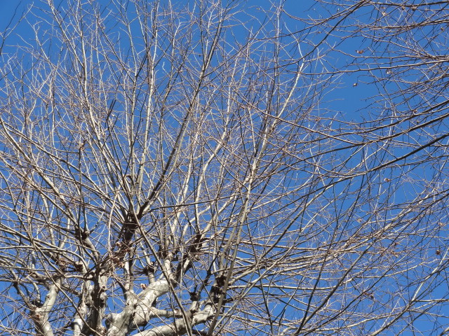 e0016828_12304985.jpg