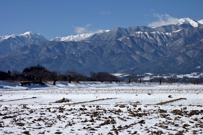 b0236334_21483318.jpg