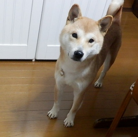 d0169340_104198.jpg