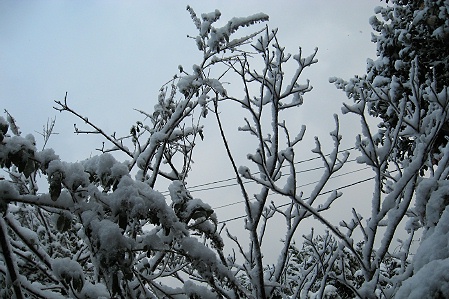 a0243143_19202669.jpg