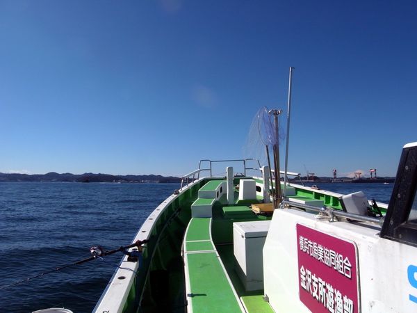 e0007544_7382849.jpg
