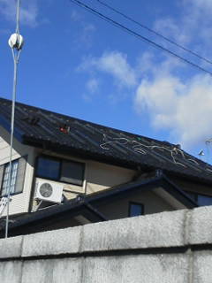 e0150849_11465131.jpg
