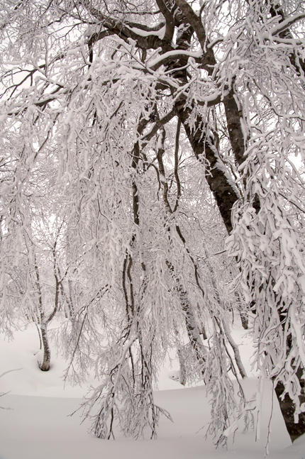 f0214649_8414221.jpg