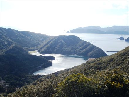 e0044657_22454391.jpg